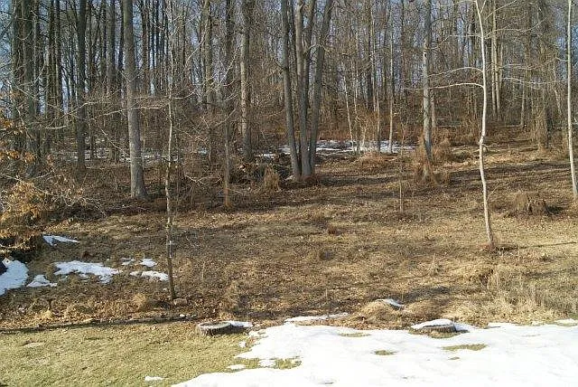 157 Madison Way — Photo 14