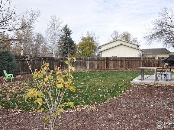 Backyard - concrete patio and grass