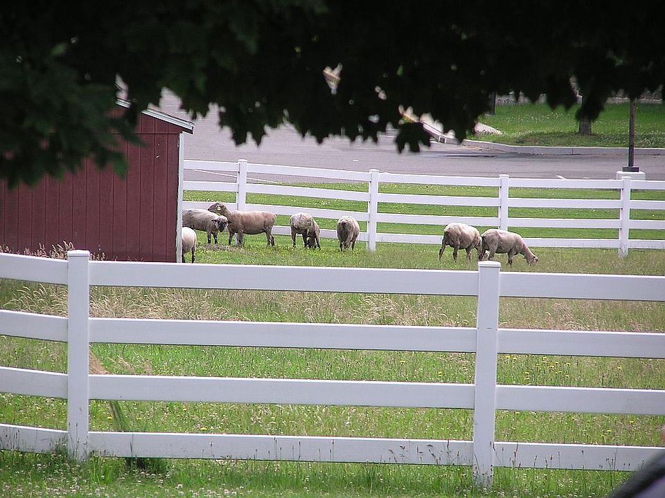 VIEW FROM BEDROOM WINDOW
