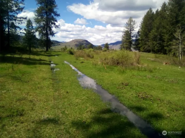 0 TBD Long Alec Creek Road, Curlew, WA 99118