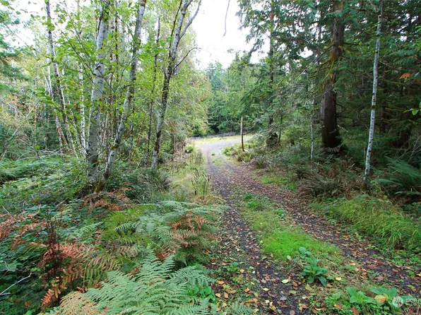 211 N Hamma Ridge Drive, Lilliwaup, WA 98555