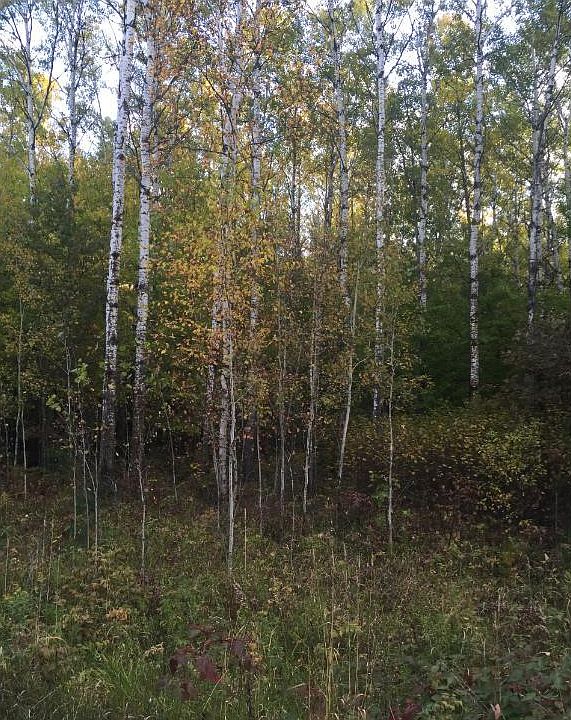 1st image of LOT 1 Two 3 Lakeshore Dr