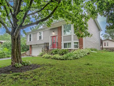 220 Falcon Ridge Way, Bolingbrook, IL, 60440