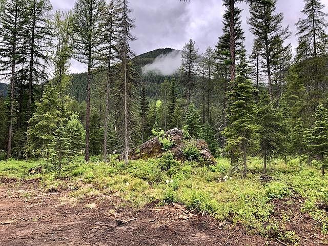 1st image of 1031 Lazy Moose Trl