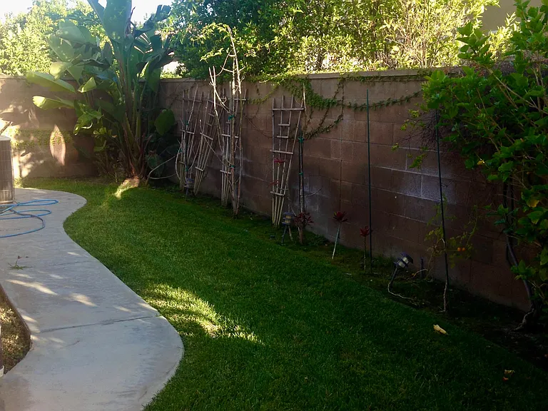 14 Rutherford — Photo 6