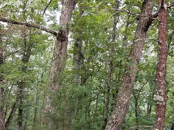 4th image of 35 Dogwood Dr #35
