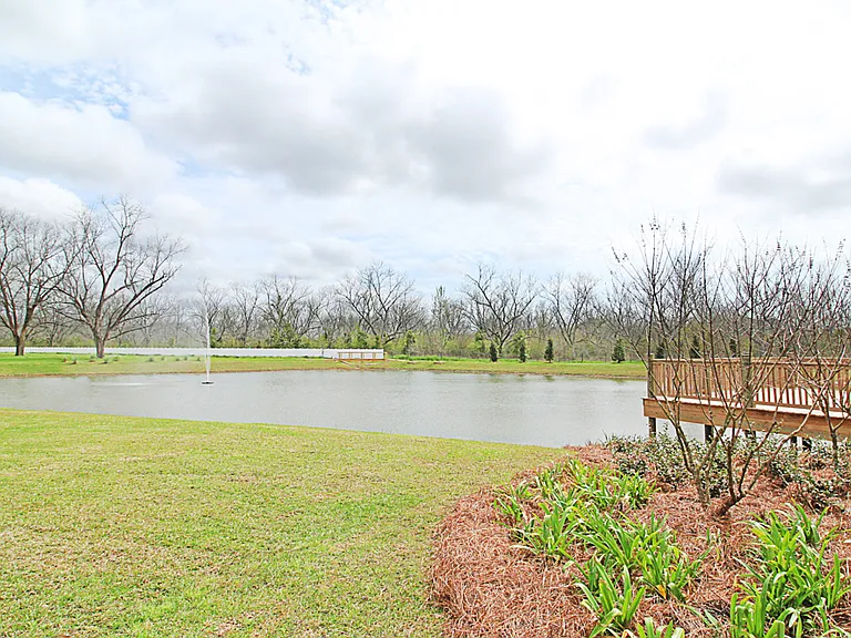 11245 Animal Kingdom Way — Photo 44