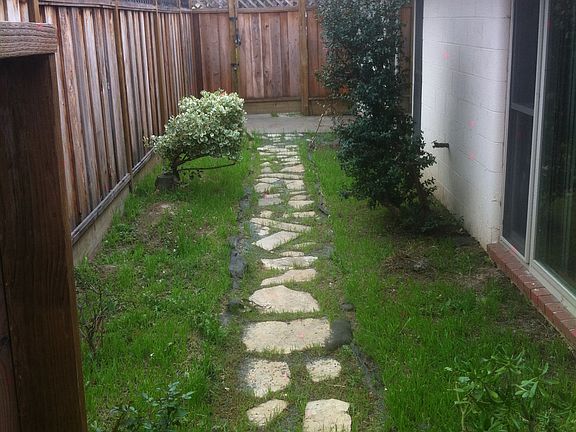 Zen side yard...