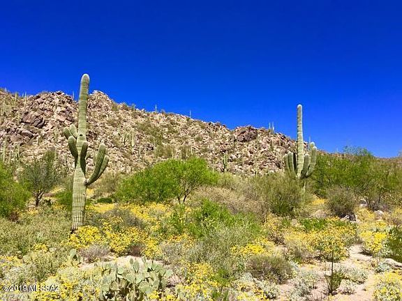 5th image of 1138 W Tortolita Mountain Cir