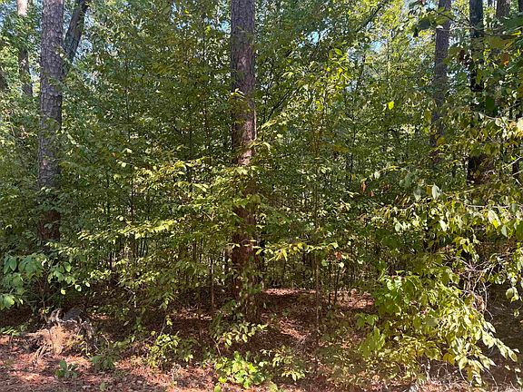 2nd image of 0 Prysock Rd