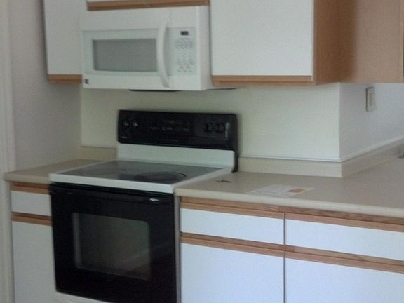 Bright kitchen with built in microhood, electric stove and p