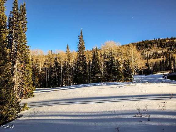 2nd image of 315 White Pine Canyon Rd Lot 315