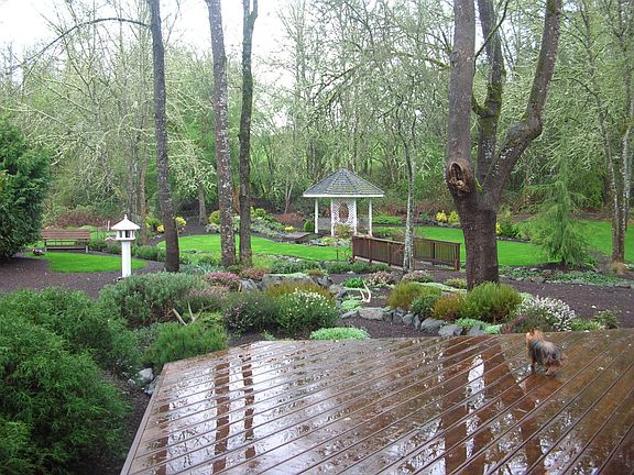 Backyard from lower deck
