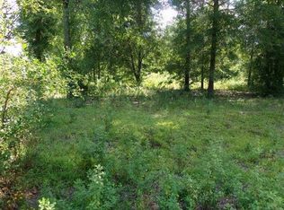126 NE Golden Rain Ter, Lee, FL 32059