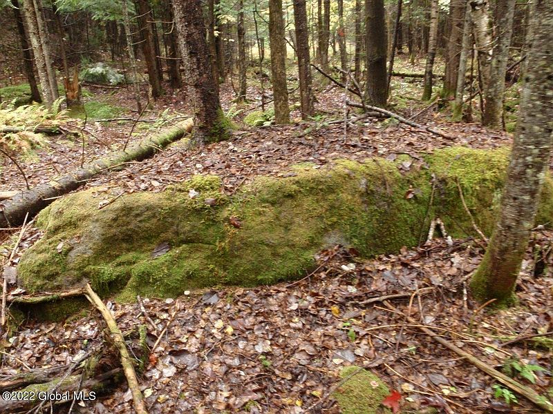5th image of 262 State Route 28N