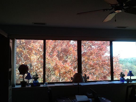Fall view from Den
