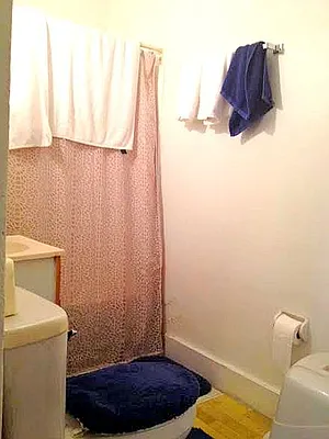 Rented by Simply Brooklyn Realty Inc | media 4