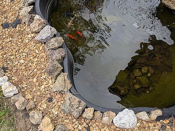 Small koi pond