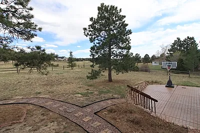 Backyard view