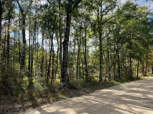 LOT 53 Nesom Rd, Denham Springs, LA 70706