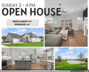 39215 Canopy Ct, Gonzales, LA, 70737