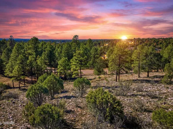 2287 Aero Mech Dr, Overgaard, AZ 85933