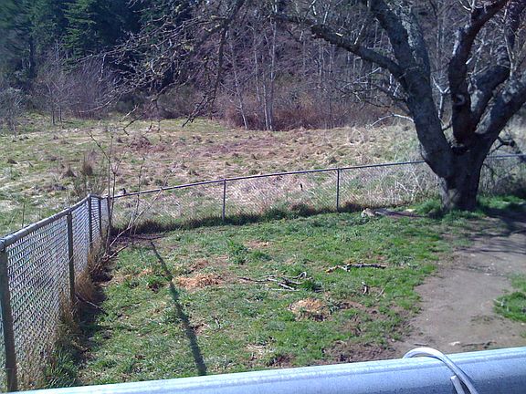 side of backyd into pasture