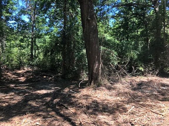 2nd image of 1197 County Road 433