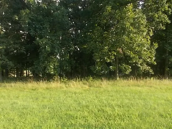 179 Shore Dr, Pana, IL 62557