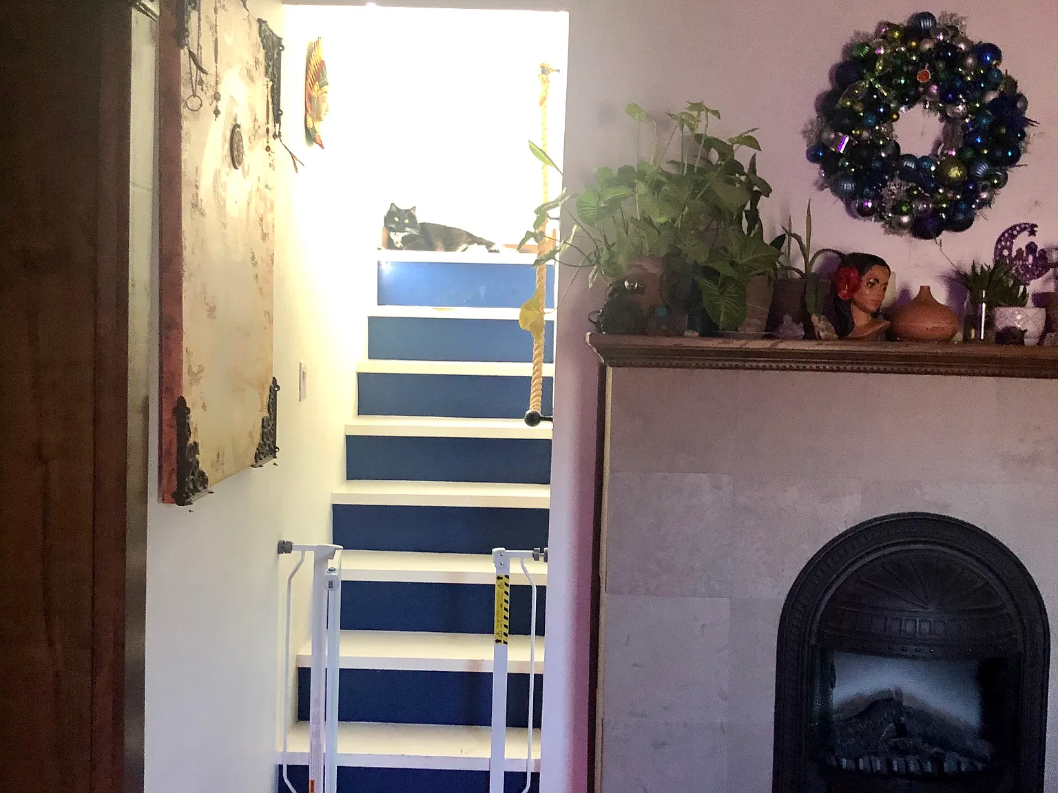 4 Douglas St — Photo 4