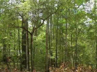 98 Green Tree Dr, Coldspring, TX 77331