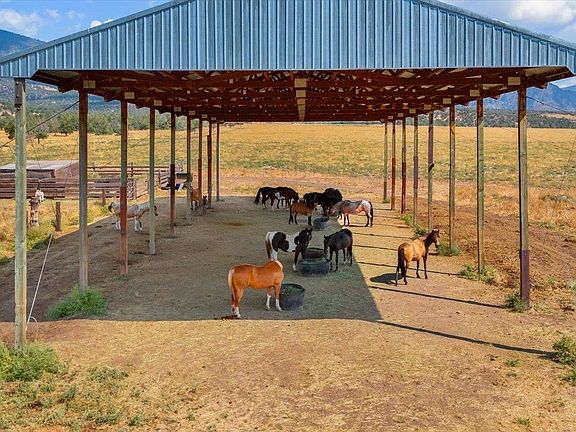 5th image of 10788 Harry Cash Rd