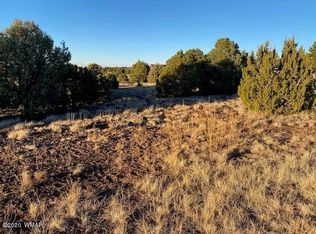 800 S Rock Creek Dr, Show Low, AZ 85901