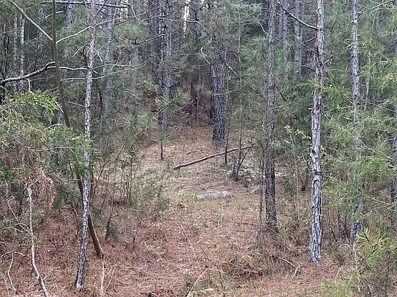 5th image of 1109 Old Benton Pike NE