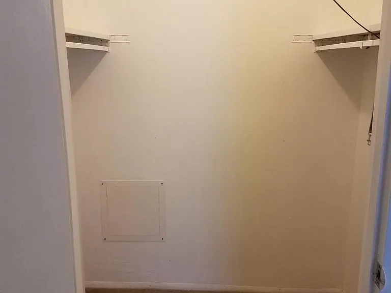 Bedroom 1 walk in closet