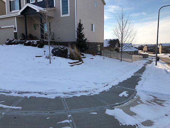 professional lndscaped