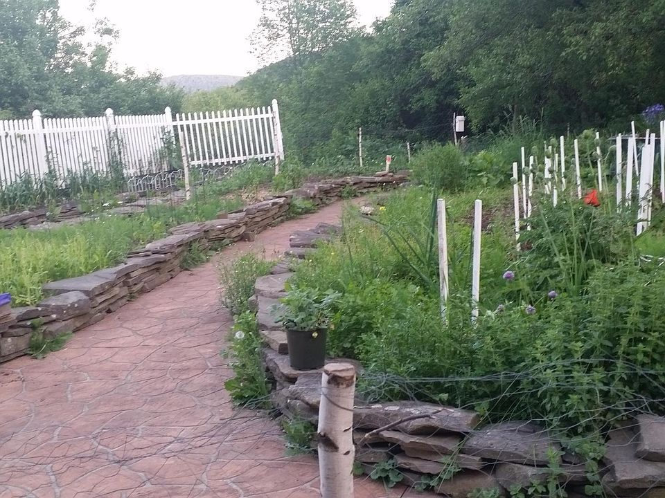 Garden Space/Patio/Raised Garden Beds