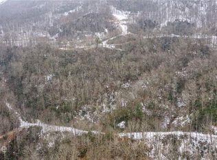 99999 Bird Creek Estate Rd, Black mountain, NC 28711