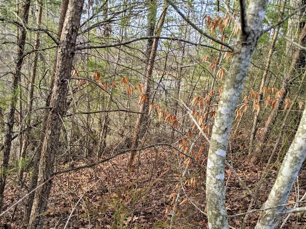 6220-6224 Outlook Trl, Russellville, TN 37860