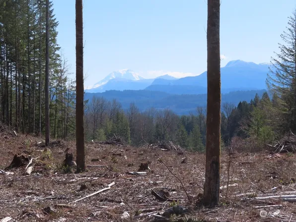 9153 XXX US Highway 12, Randle, WA 98377