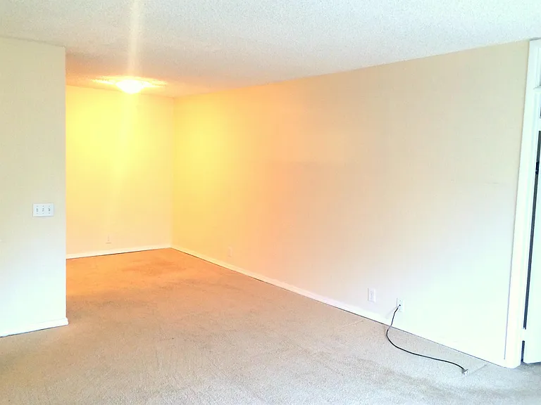 2510 Torrey Pines Rd — Photo 5