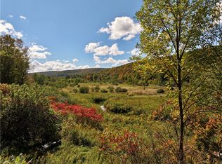 Halsey Valley Rd, Spencer, NY 14883
