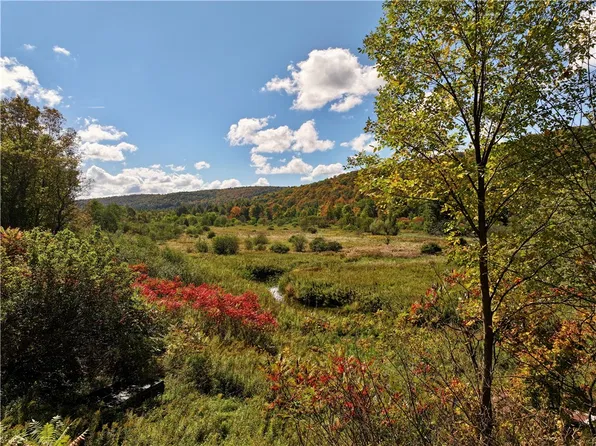 Halsey Valley Rd, Spencer, NY 14883