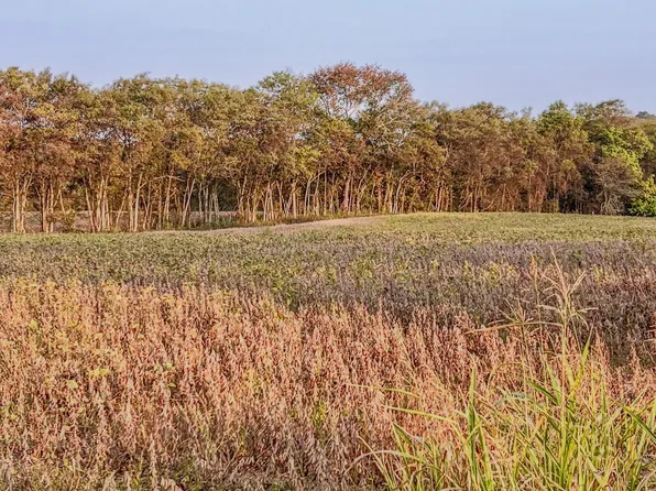 3 McBurg Dellrose Rd, Dellrose, TN 38453