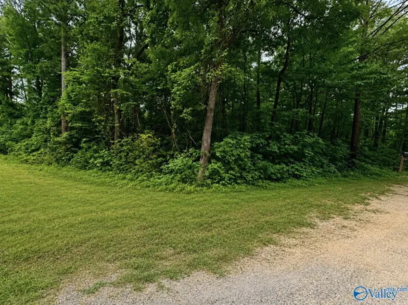 36 County Road 683, Cedar Bluff, AL 35959