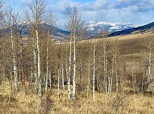 1192 Redhill Rd, Fairplay, CO 80440