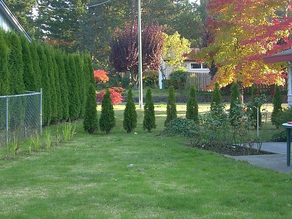 .35 acre level, corner lot