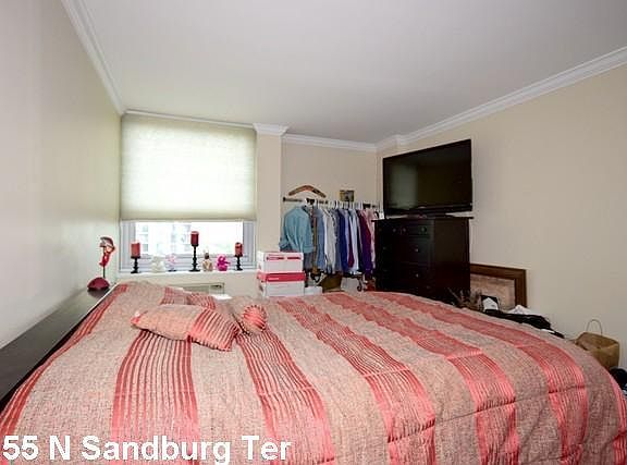 4th image of 1255 N Sandburg Ter Unit 1108