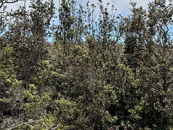 4th image of Catamaran Ln Lot 15