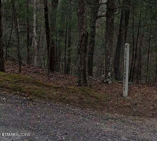 1st image of 0 Old Hickory Ln